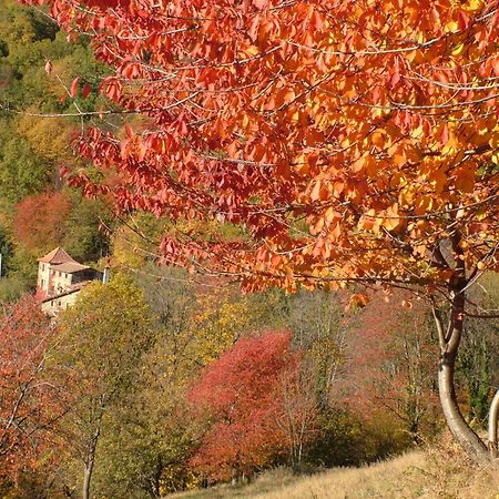 Penzion Casa Etxalde Camprodon Exteriér fotografie