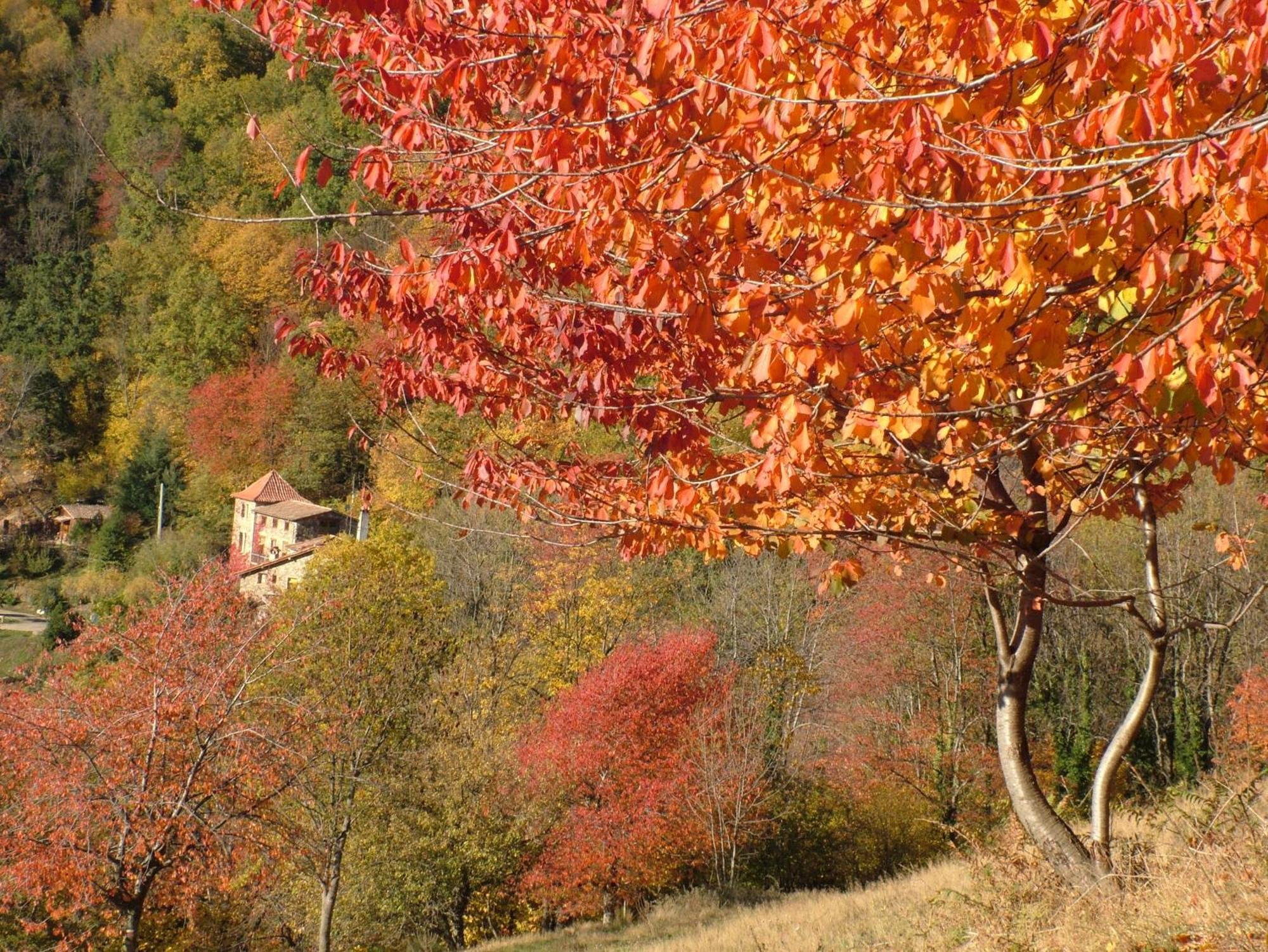 Penzion Casa Etxalde Camprodon Exteriér fotografie